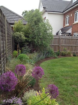 Thinking about bulbs - Click to make an enquiry