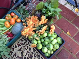 Busy time of the year - Click to make an enquiry