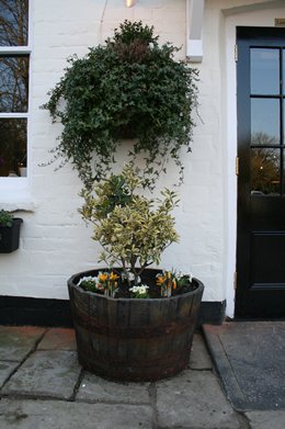 400 plants later... - Click to make an enquiry