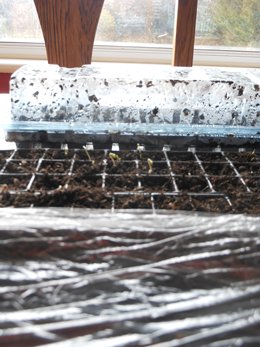 We`re back! Is Spring here?? - Click to make an enquiry