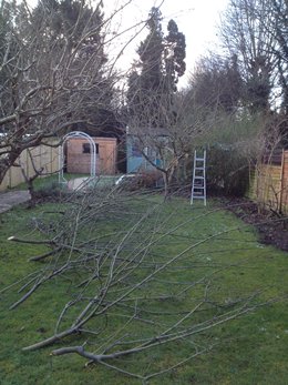 It felt a tiny bit like Spring yesterday - Click to make an enquiry