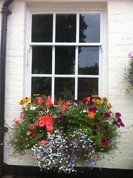 Late season colour in the garden - Click to make an enquiry