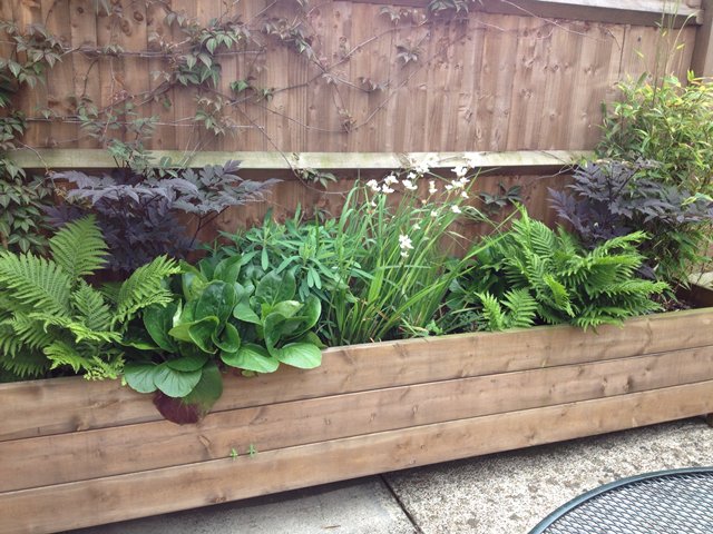 Shade, foliage border planting - Click to make an enquiry