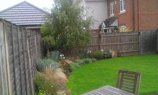 Modern garden planting - Click to make an enquiry