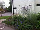 Commercial garden refurb