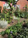 Kitchen garden - commercial site