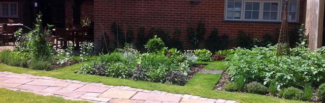 Kitchen garden services